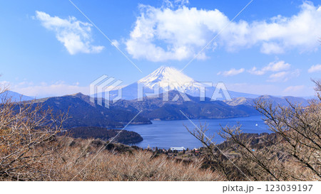 箱根町大観山からみた富士山と芦ノ湖 123039197