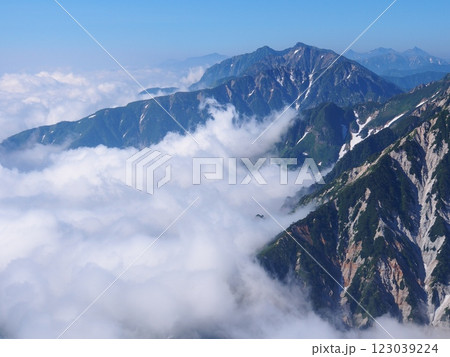 白馬岳から望む夏の五龍岳と鹿島槍ヶ岳 123039224