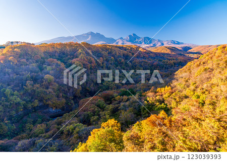 【山梨県】紅葉が美しい八ヶ岳高原大橋展望所から八ヶ岳を望む 123039393