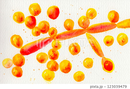 Hand-drawn watercolor illustration of Candida albicans fungi 123039479