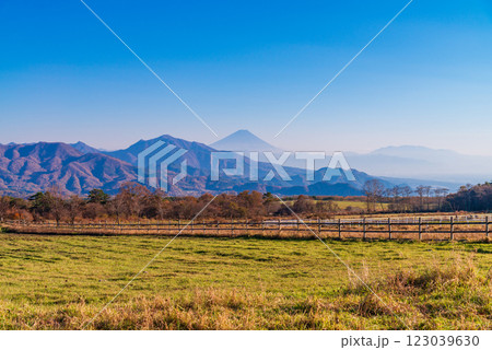 【山梨県清里】清泉寮の牧場から富士山を望む 123039630