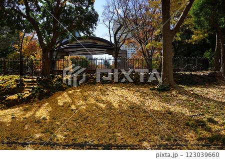 秋の黄葉に染まる日比谷公園のイチョウ 12月千代田1092イチョウの黄葉・日比谷公園 秋の黄葉に染まる日比谷公園のイチョウ 12月千代田1092イチョウの黄葉・日比谷公園 123039660
