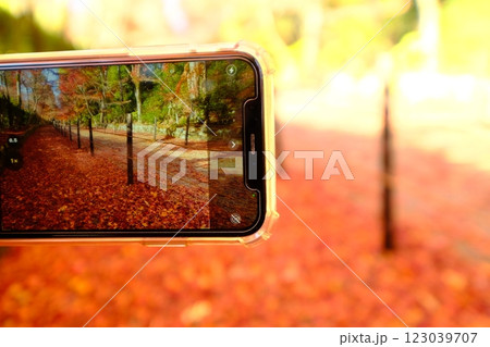 旬の紅葉のスマホ撮影 123039707