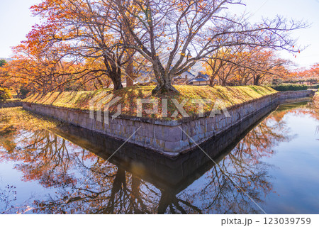 【長野県】紅葉期の龍岡五稜郭 123039759