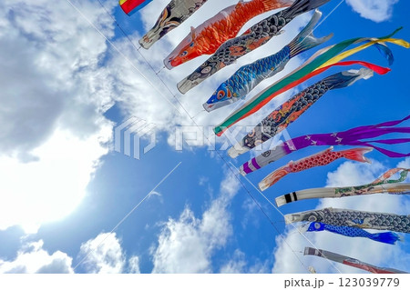 鯉のぼり・・7 123039779