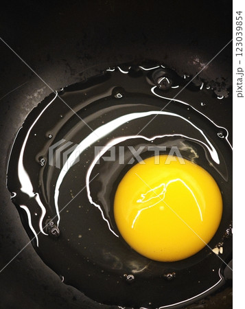 fried egg in a frying pan fried egg in a frying pan 123039854