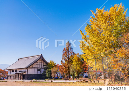 【長野県】紅葉期の龍岡城五稜郭 123040236