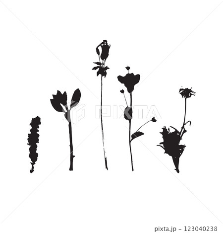 Rough edges dried floral sinlouettes set 123040238