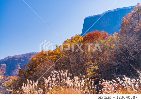 【長野・群馬県】紅葉の荒船山 123040387