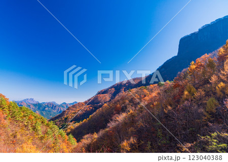 【長野・群馬県】紅葉の荒船山 【長野・群馬県】紅葉の荒船山 123040388