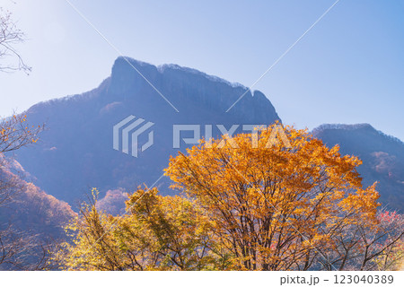 【長野・群馬県】紅葉の荒船山 【長野・群馬県】紅葉の荒船山 123040389