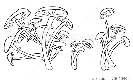 Poisonous Mushrooms Sketch, Vector Natural Ingredients, Vegetarian Food Line Illustration 123040402