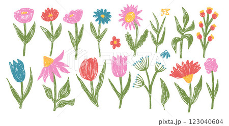 Flowers crayon drawn set. Spring tulip, daisy, aster and marguerite plants doodle set. Pastel childish floral shape. Vector pencil illustration isolated on white background Flowers crayon drawn set. Spring tulip, daisy, aster and marguerite plants doodle set. Pastel childish floral shape. Vector pencil illustration isolated on white background 123040604