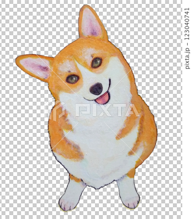 柯基開心地歪著頭 123040741