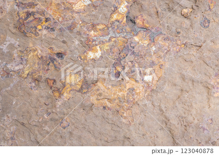 Stone texture for abstract background 123040878