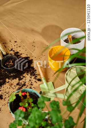 Gardening tools, soil and potted plants on floor during repotting process. Concept of home gardening, plant care and eco-friendly lifestyle Gardening tools, soil and potted plants on floor during repotting process. Concept of home gardening, plant care and eco-friendly lifestyle 123041110