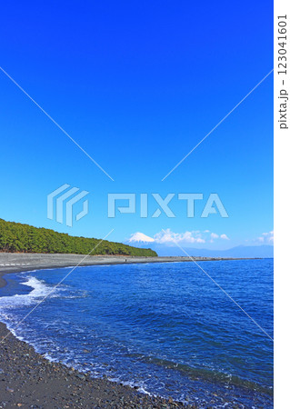 静岡県静岡市、三保の松原と富士山の風景 静岡県静岡市、三保の松原と富士山の風景 123041601
