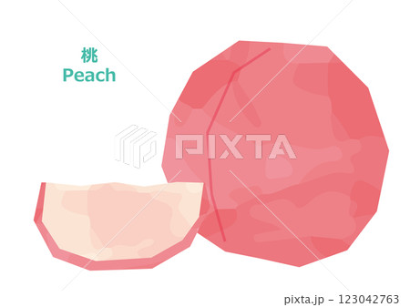 桃のイラスト　水彩風 123042763