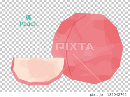 桃のイラスト　水彩風 123042763