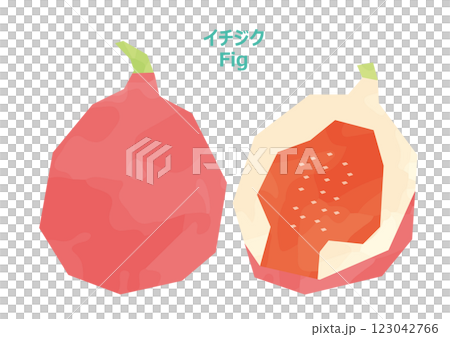 Fig illustration watercolor style 123042766