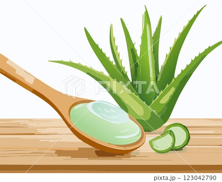 Aloe gel on wooden spoon with aloe sliced on wooden table 123042790