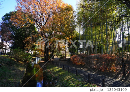 次大夫堀公園の水辺の紅葉　12月世田谷1274水辺の紅葉・次大夫堀公園 123043109