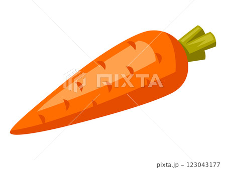 Illustration of carrot. Stylized food object for cooking recipe and menu. 123043177