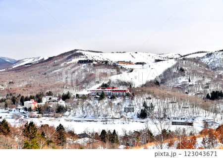 白樺湖ロイヤルヒルスキー場方面を望む(長野県茅野市)【2025.2】 白樺湖ロイヤルヒルスキー場方面を望む(長野県茅野市)【2025.2】 123043671