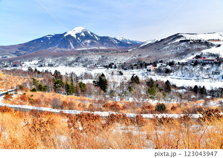 蓼科山～白樺湖～白樺湖ロイヤルヒルスキー場方面を望む(長野県茅野市)【2025.2】 123043947