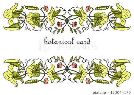 Botanical Card Design with floral elements. Hand drawn green peas plant with leaves and pods isolated on white background. Trendy artistic vector illustration for Birthday Wedding Invitation Greeting Botanical Card Design with floral elements. Hand drawn green peas plant with leaves and pods isolated on white background. Trendy artistic vector illustration for Birthday Wedding Invitation Greeting 123044170