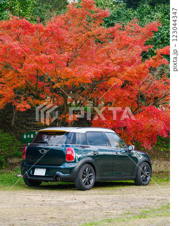 紅葉と車 123044347