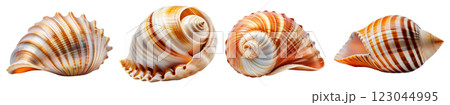 Collection of Beautiful Seashells Isolated on White Background - Generative Ai 123044995