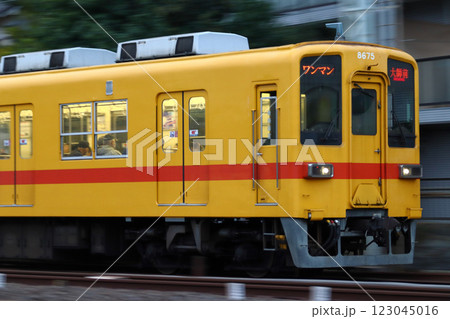 ［TS］東武大師線8000系電車（リバイバル塗装-黄色） 123045016