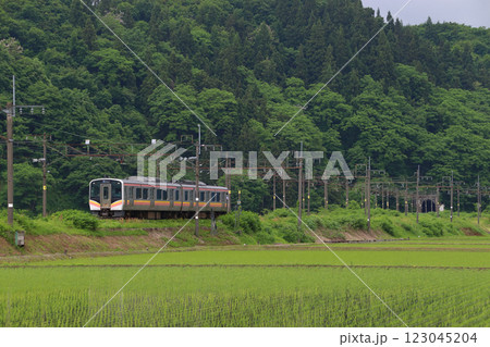 上越線E129系電車(水上⇔長岡) 上越線E129系電車(水上⇔長岡) 123045204