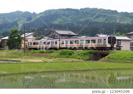 上越線E129系電車（水上⇔長岡） 123045206