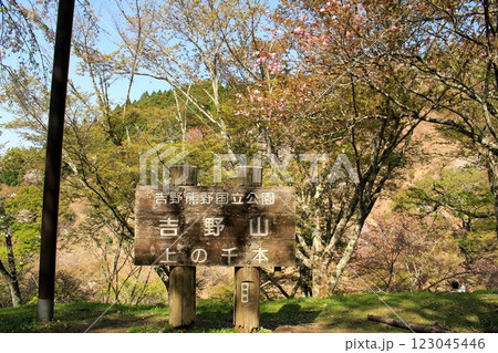 桜の名所・吉野山 123045446