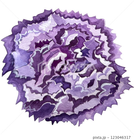 Handpainted watercolor carnation flower illustration. It's perfect for greeting cards, wedding invitation, birthday and mothers day cards. Watercolor botanical illustration. Handpainted watercolor carnation flower illustration. It's perfect for greeting cards, wedding invitation, birthday and mothers day cards. Watercolor botanical illustration. 123046317