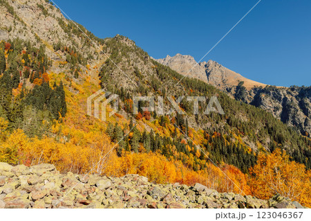Mountains and autumnal tress. Scenic mountain fall season landscape Mountains and autumnal tress. Scenic mountain fall season landscape 123046367