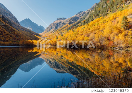 Mountain lake and yellow autumnal trees. Mountain lake and yellow autumnal trees. 123046370