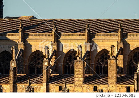 The impressive Cathedral of Saint Mary of Toledo showcases its sandstone architecture in Spain. 123046685