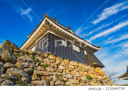 浜松市にある夕方の天守閣の浜松城の風景(静岡県) 123046754