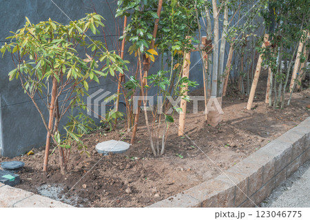 建設現場の植栽 樹木と二脚鳥居支柱 建設現場の植栽 樹木と二脚鳥居支柱 123046775