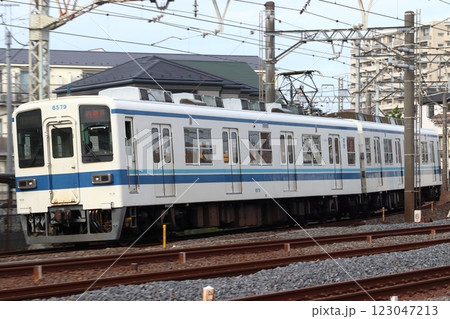 ［TS］東武大師線8000系電車（ワンマン運転：西新井⇔大師前） 123047213