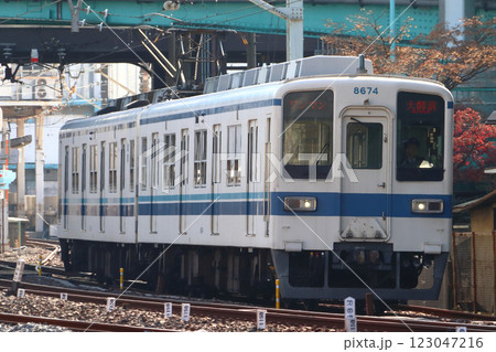 ［TS］東武大師線8000系電車（ワンマン運転：西新井⇔大師前） 123047216