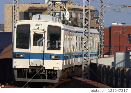 ［TS］東武大師線8000系電車（ワンマン運転：西新井⇔大師前） 123047217