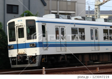 ［TS］東武大師線8000系電車（ワンマン運転：西新井⇔大師前） 123047219