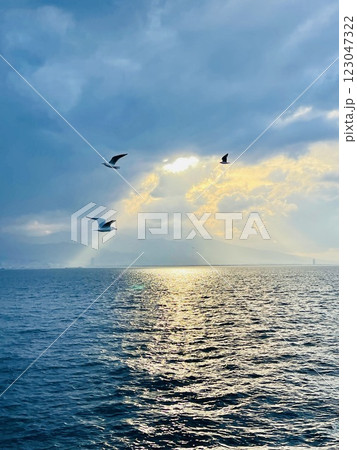 Seagulls flying over the Turkish Gulf in Izmir city 123047322