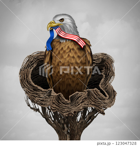 American Isolationism 123047328