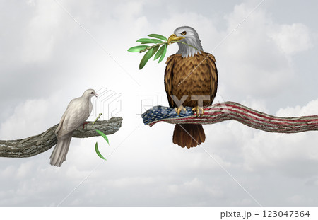 American Peace Plan 123047364