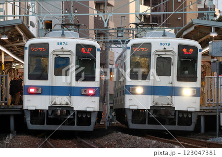 ［TS］東武亀戸線8000系電車（ワンマン運転：曳舟⇔亀戸） 123047381